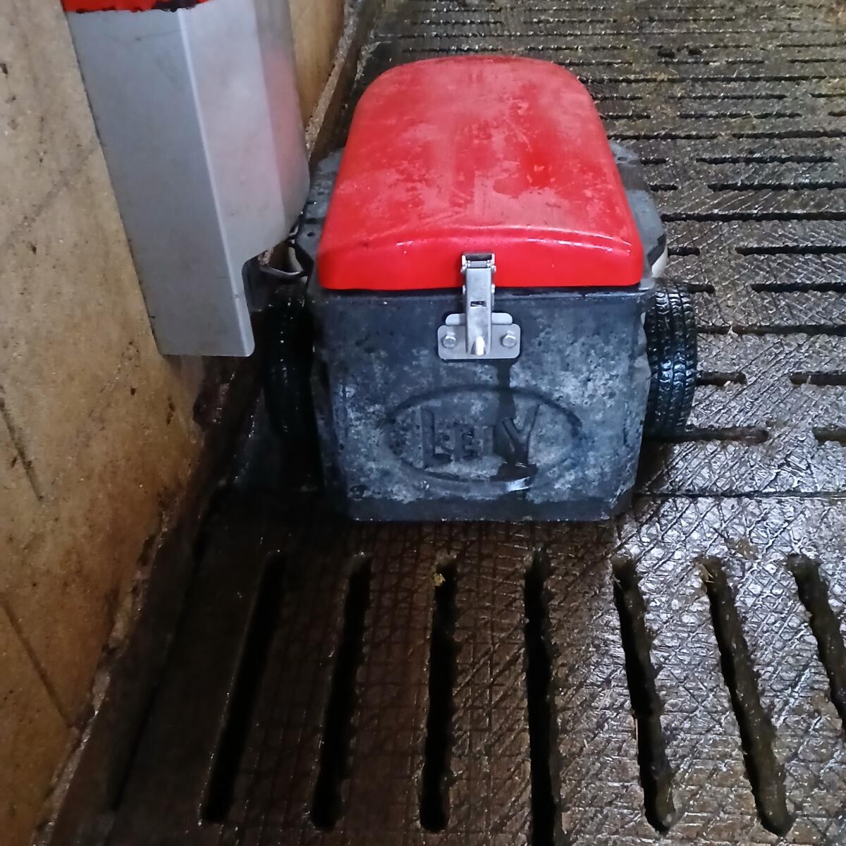 Lely Discovery 90S Spaltenroboter 2