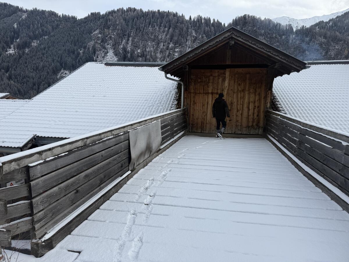 Boss Steinbock Elektro 6145 2