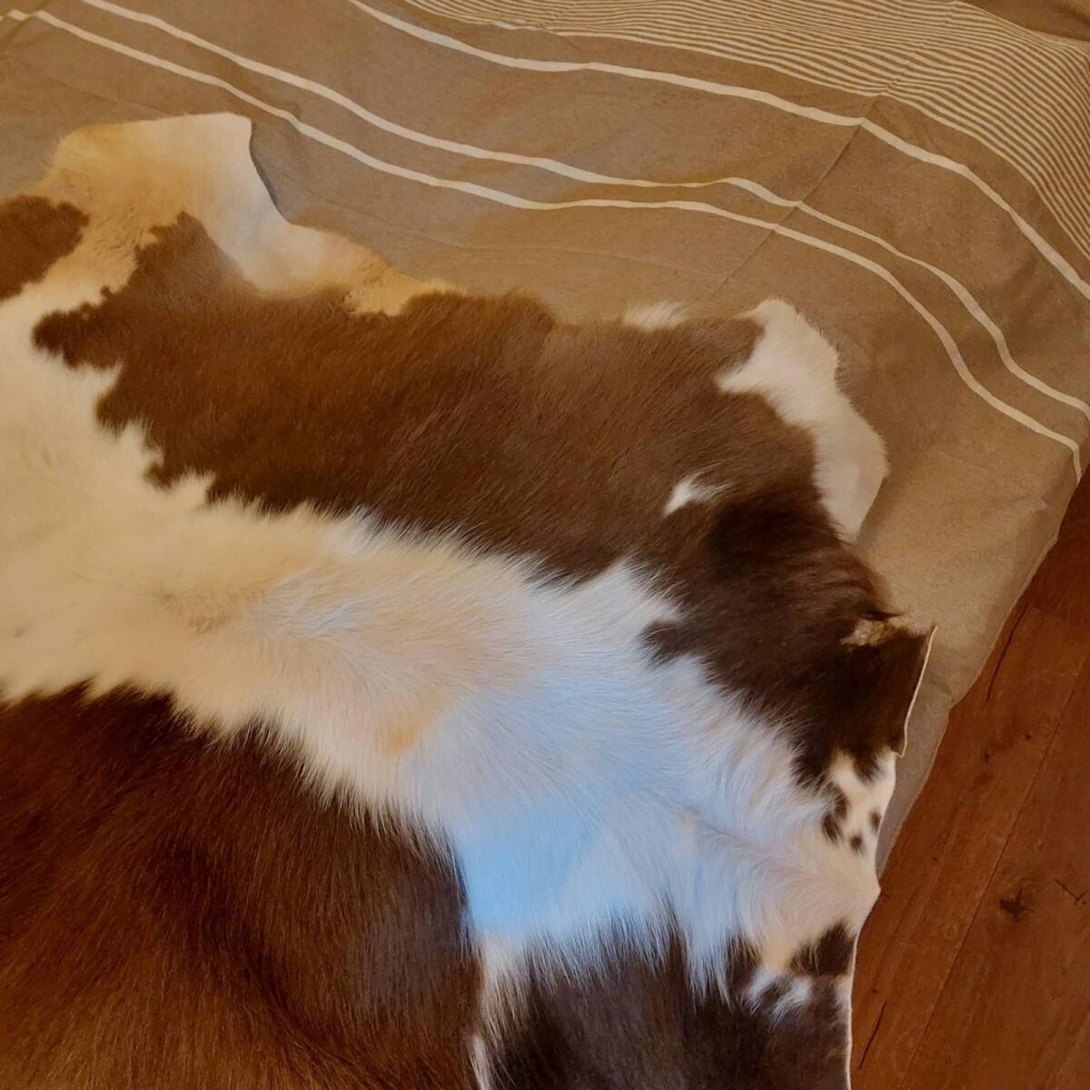 Gegerbtes braunes Riggelfell 1