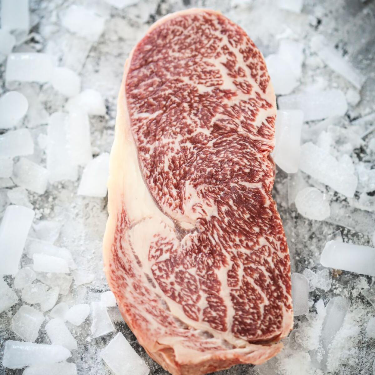 Murbodner x Wagyu - mehr Fleischqualität. 2