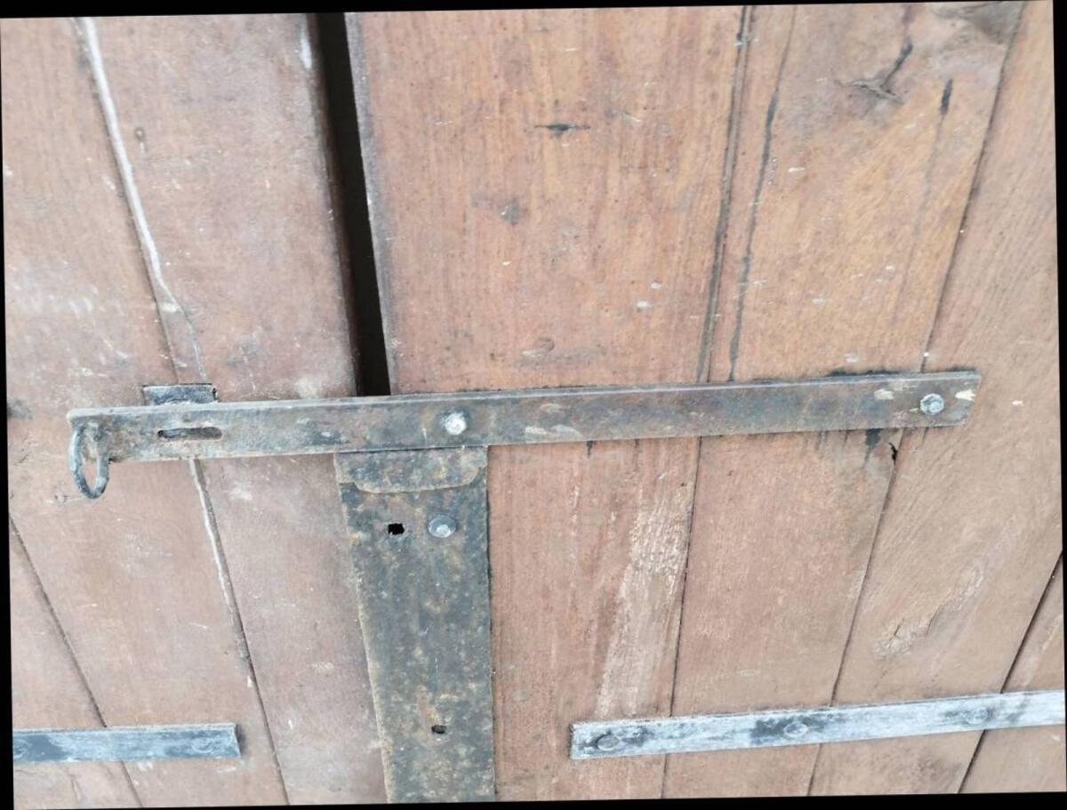 Kellertür aus Eiche 3