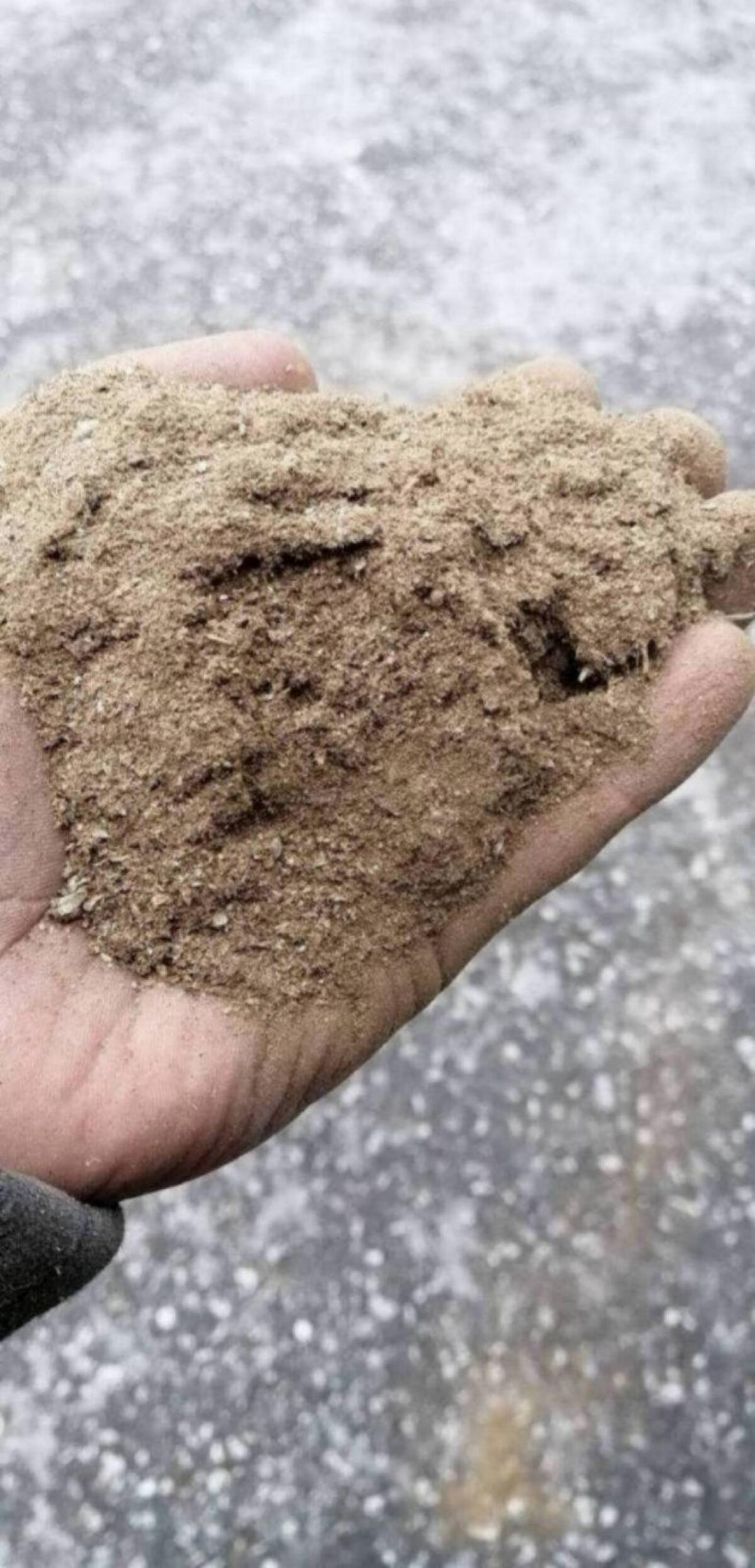 Bio Hanfblätter aus eigenem Anbau 2