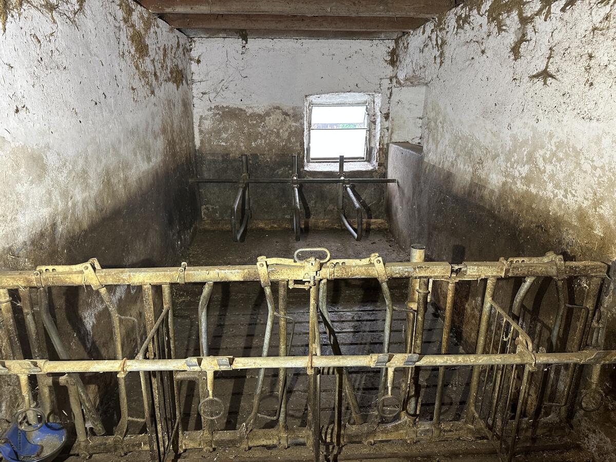 Jungviehaufstallung 1