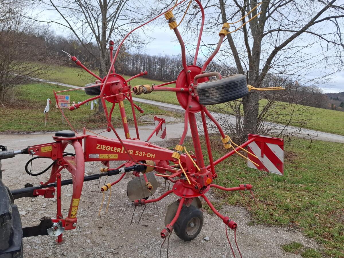 Kreisler Ziegler HR 531-DH 1