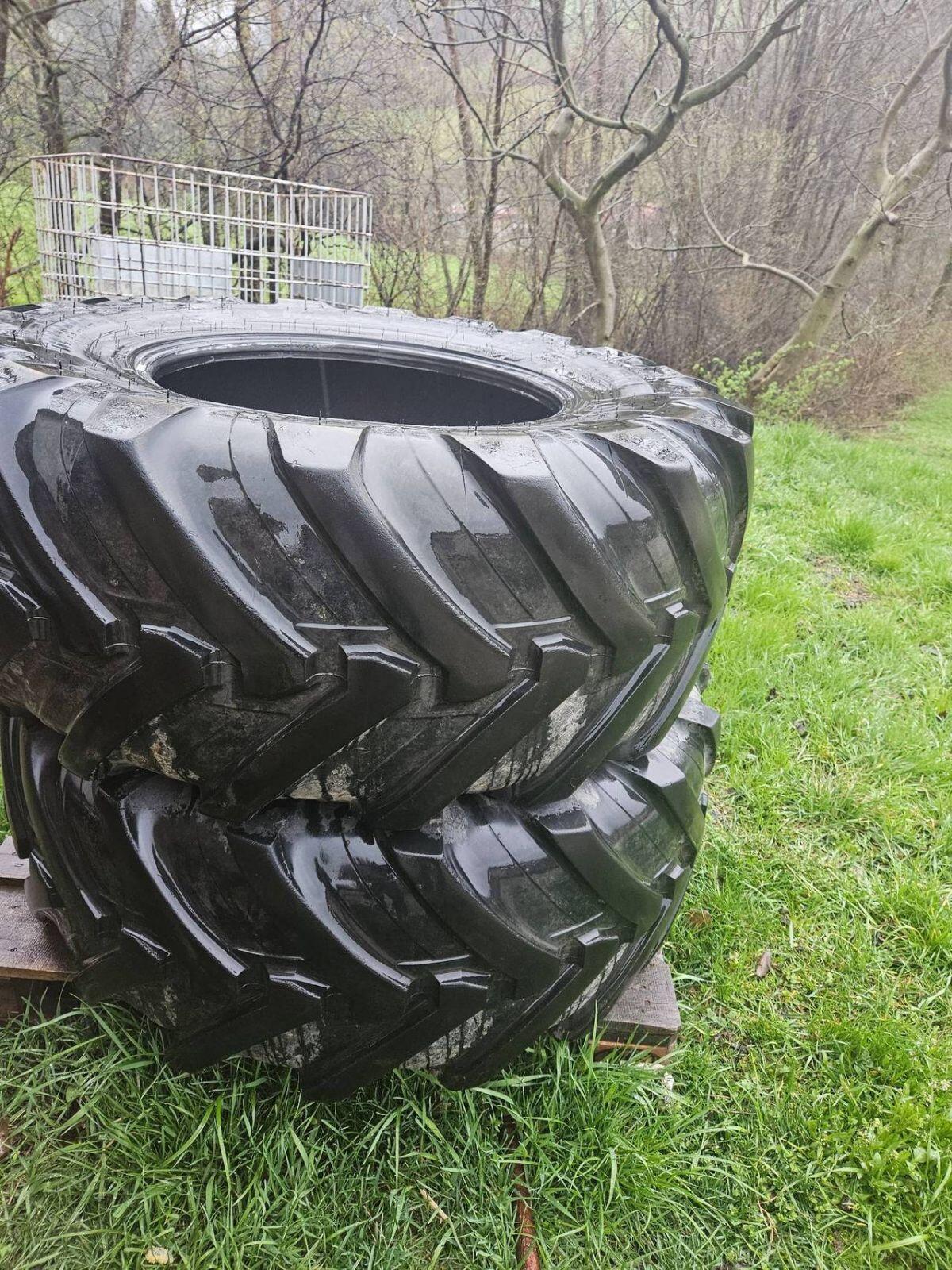 Reifen 460/70 R24 für Teleskoplader 1