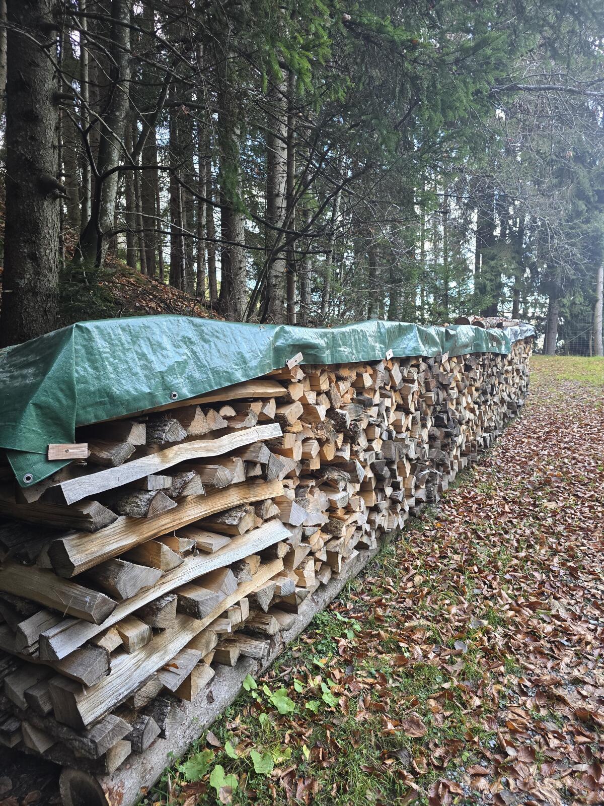 Brennholz: Robinie und Esche 2