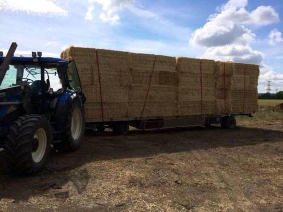 Stroh, Futterstroh, Weizenstroh, Gerstenstroh 2