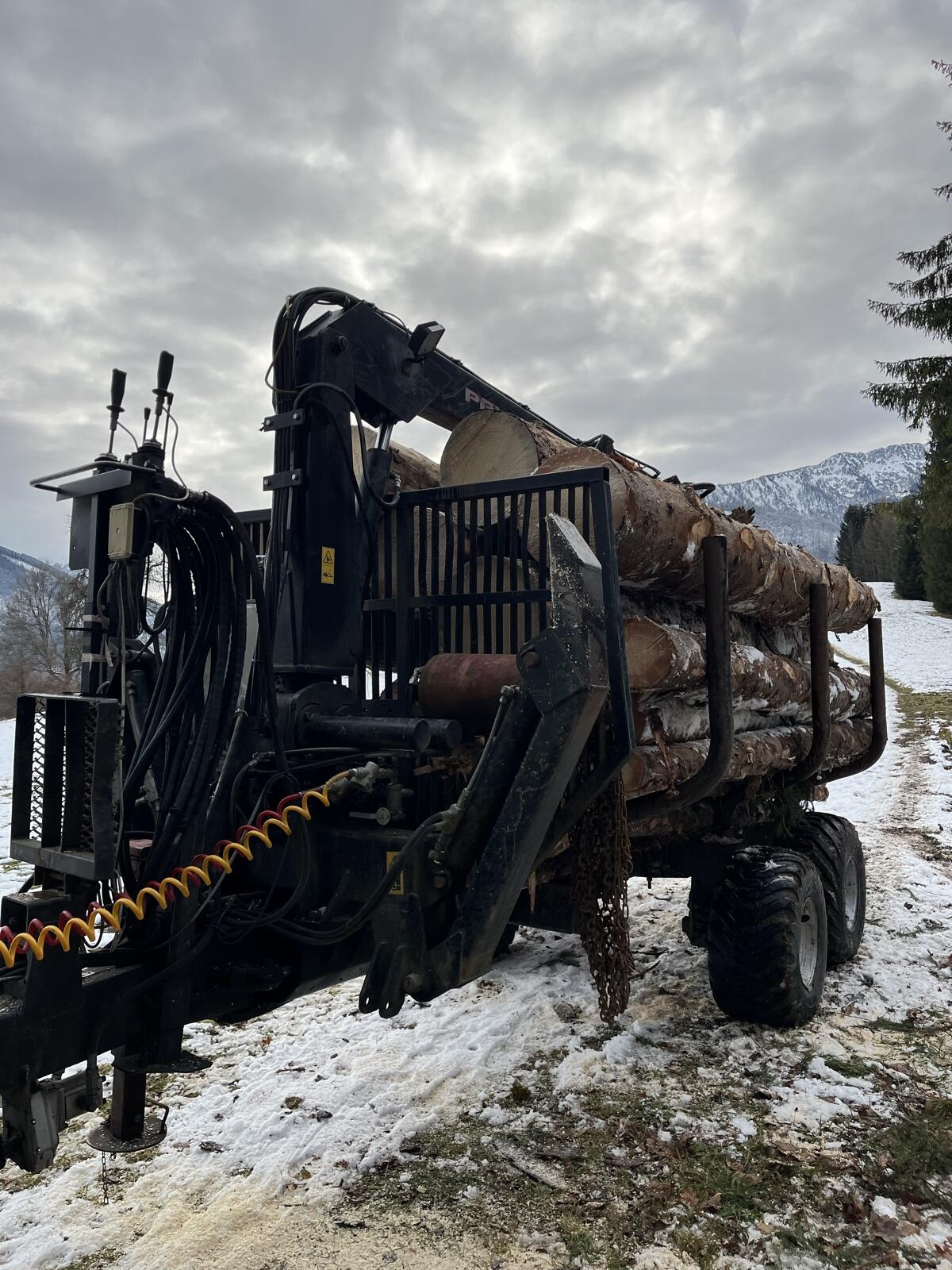 Palms Holzanhänger 675 2