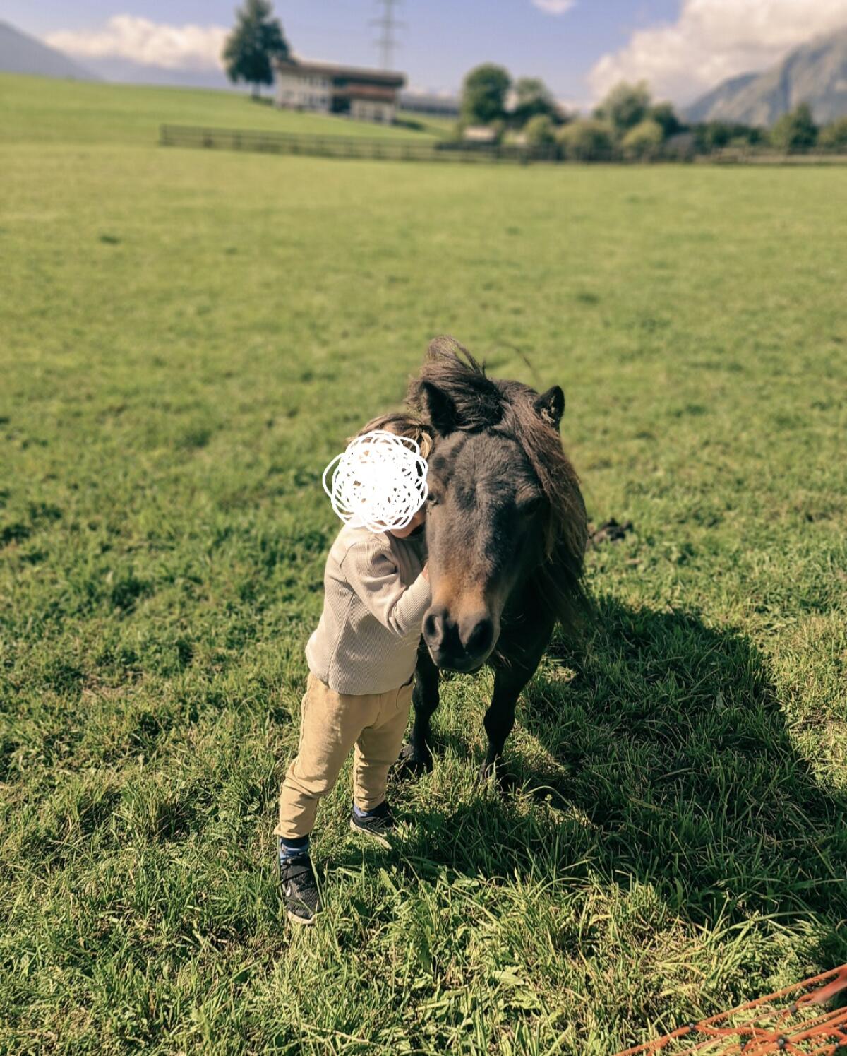 Ponystute zu verkaufen, 14 Jahre 3