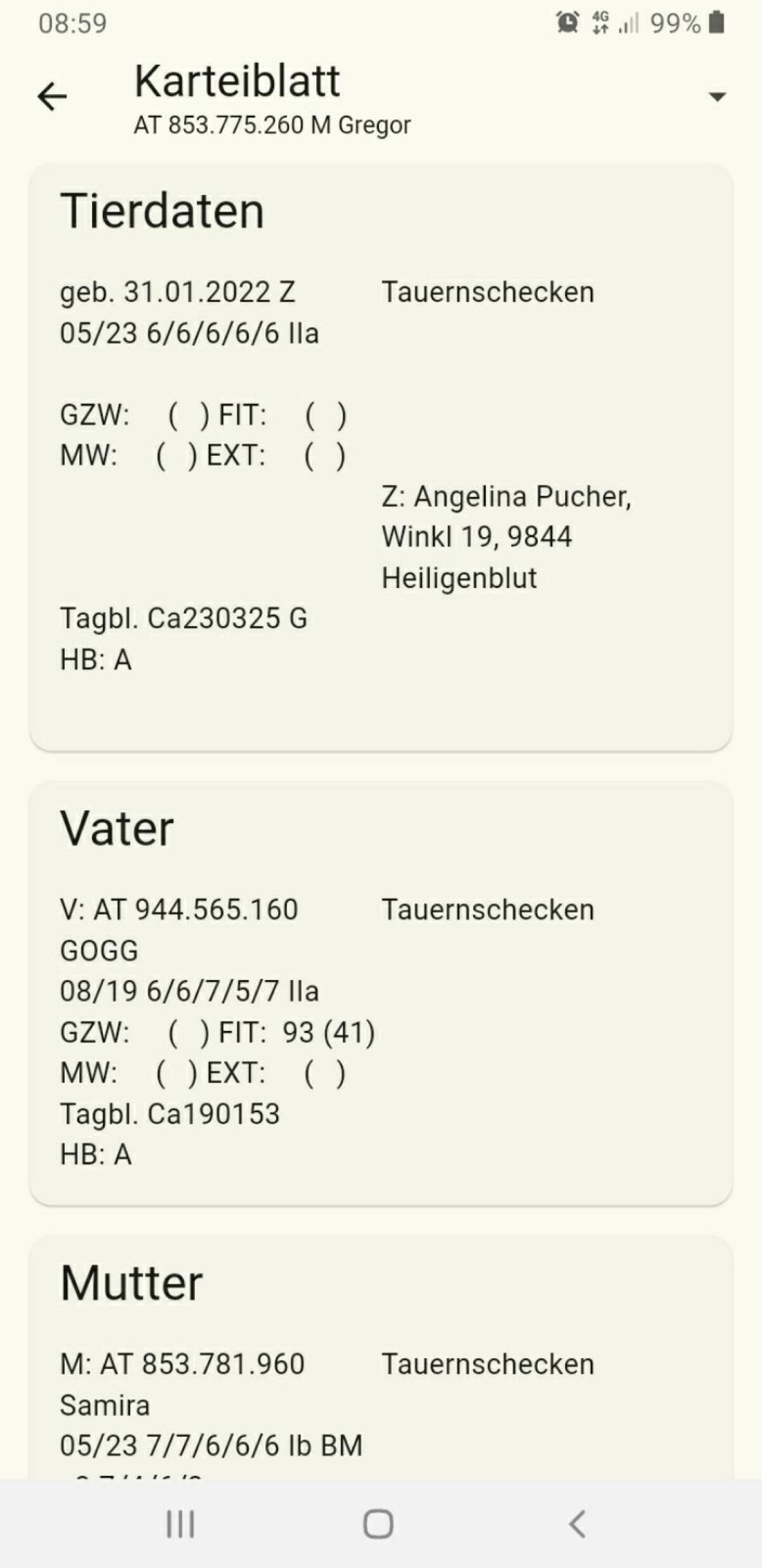 Tauernschecken Bock 1