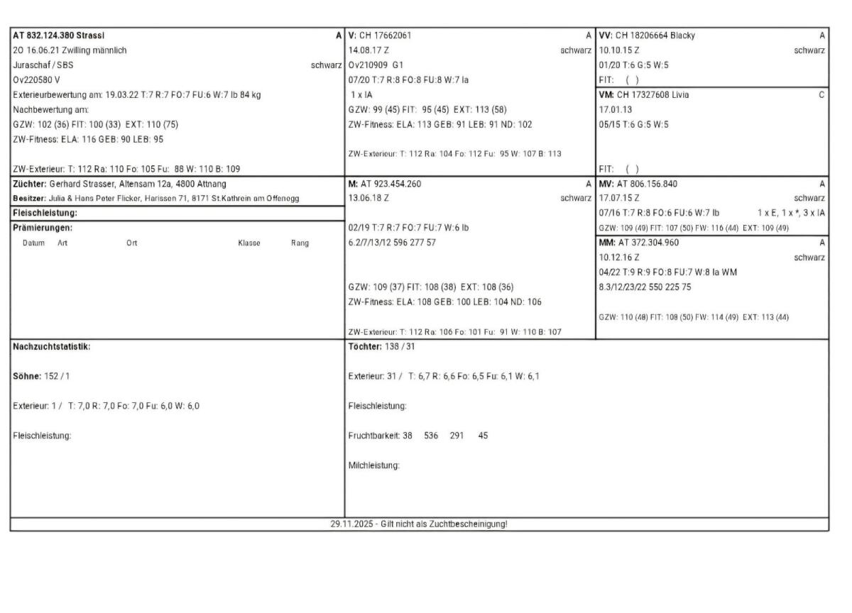 Bio Jura Zuchtwidder 3