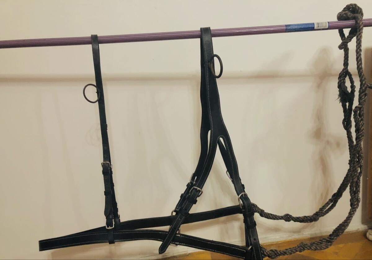 Eladó lófelszerelés 2