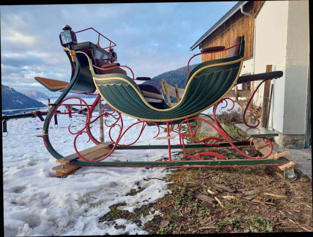 Pferdeschlitten 2