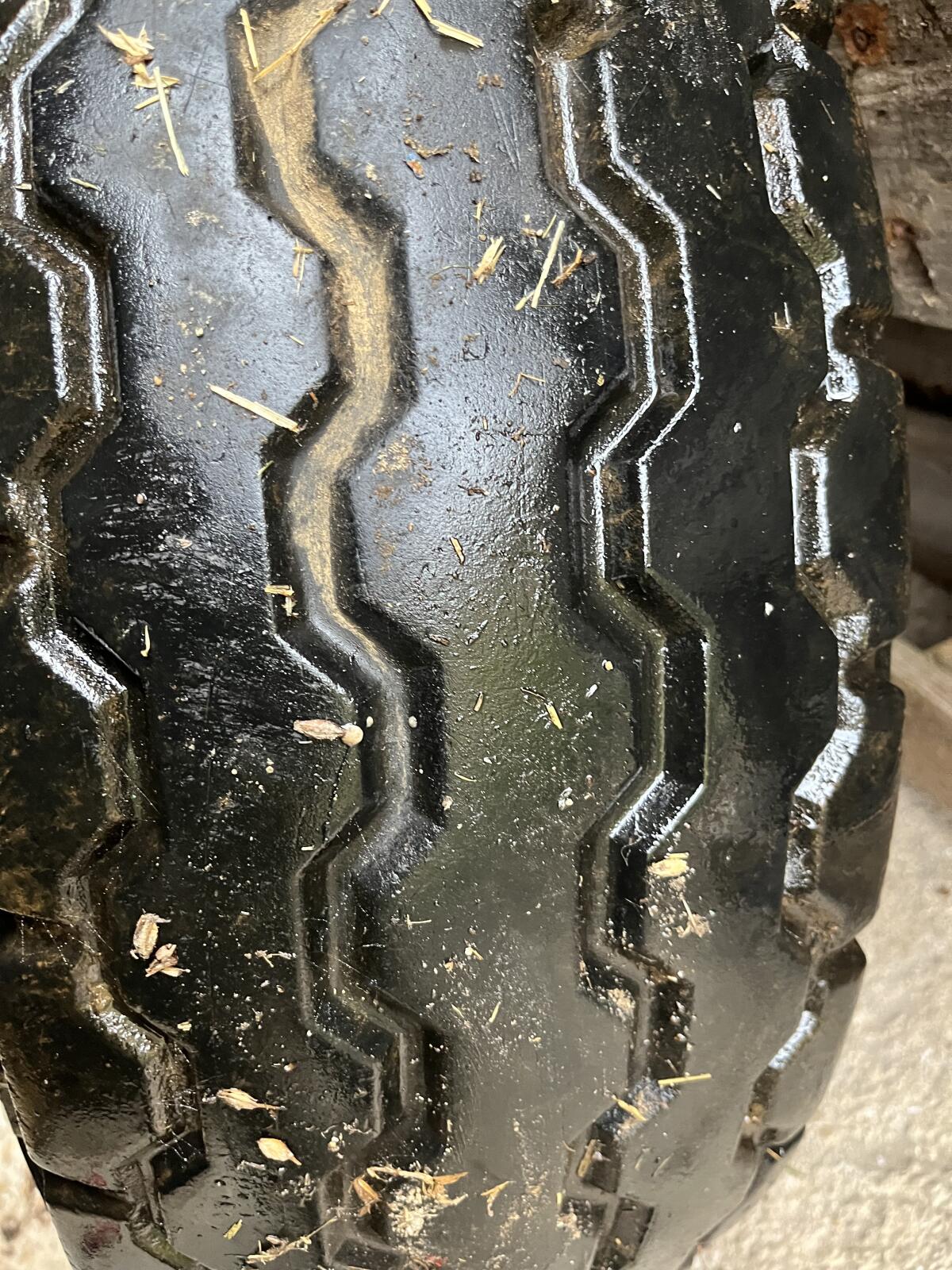 Semperit Reifen (11.5/80-15) mit Felge 2