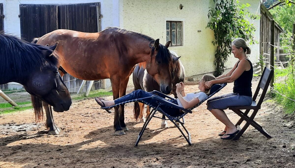 Verkaufe wunderschönes Familienpferd, Freizeitpferd 2