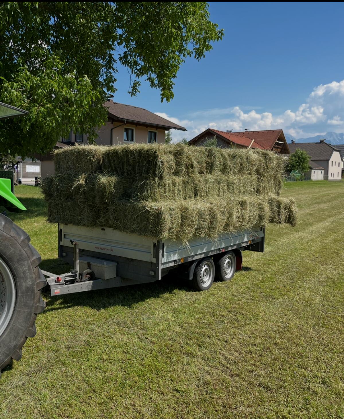 Verkaufe kleine Heuballen 1