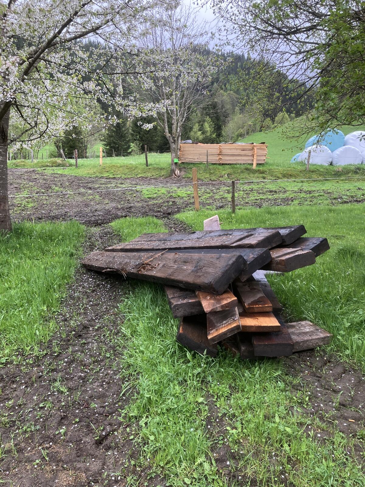 Altholz zu verkaufen 3