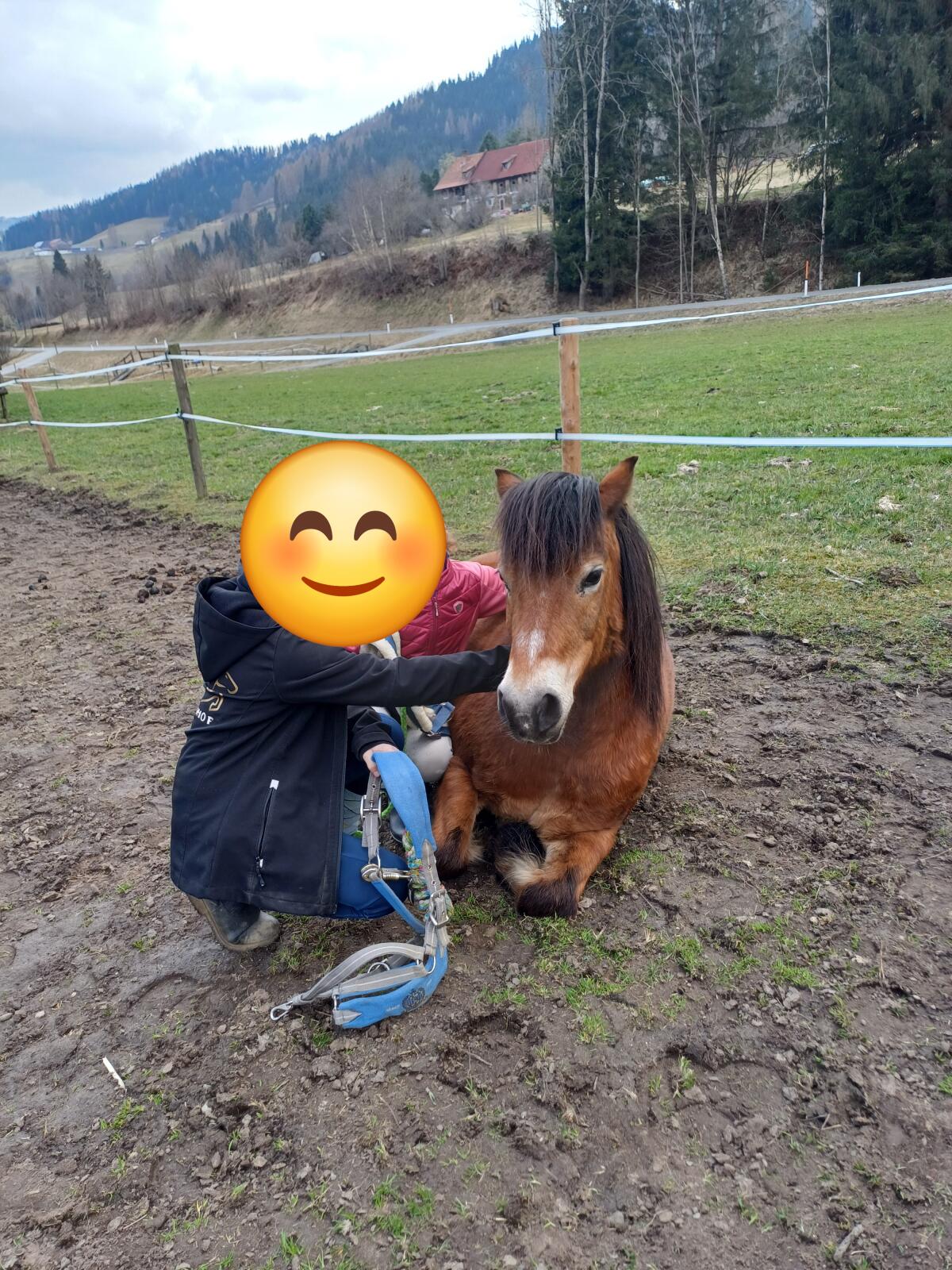 Herzenspony sucht neue Herausforderung 1