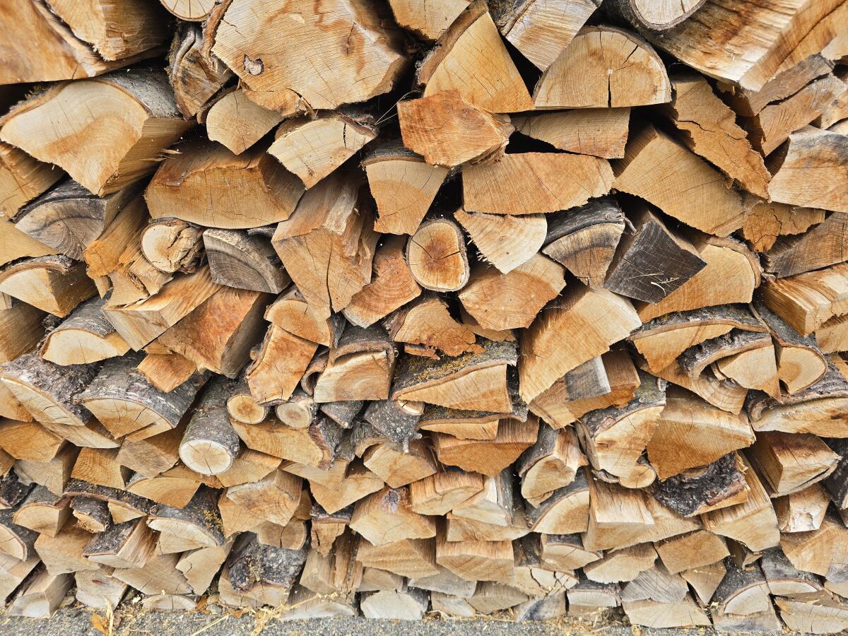 Brennholz: Robinie und Esche 3