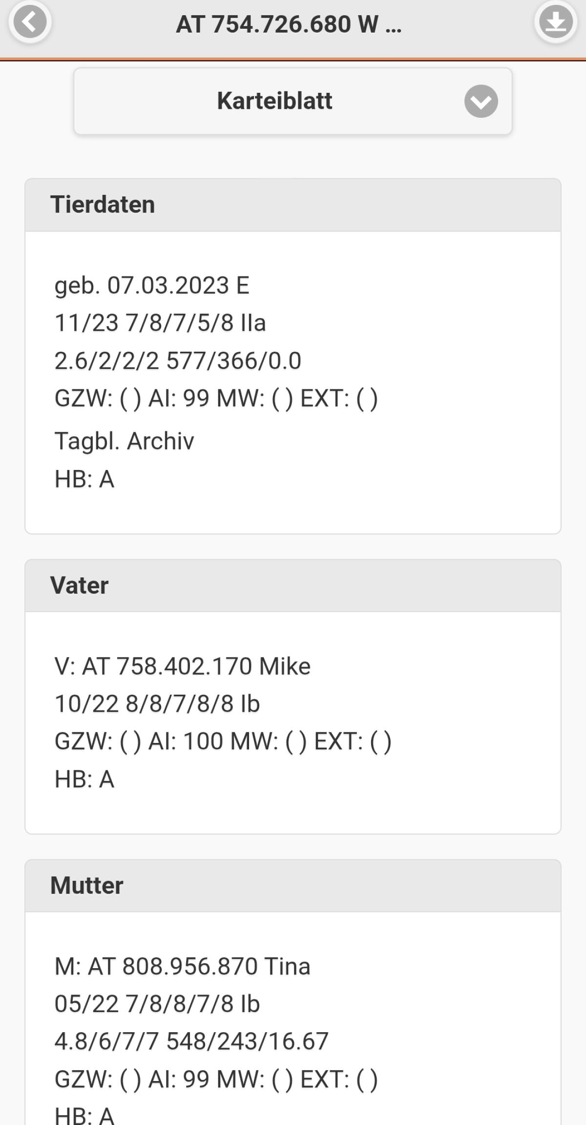 Verkaufe Walliser HB Schaf mit Lamm 1