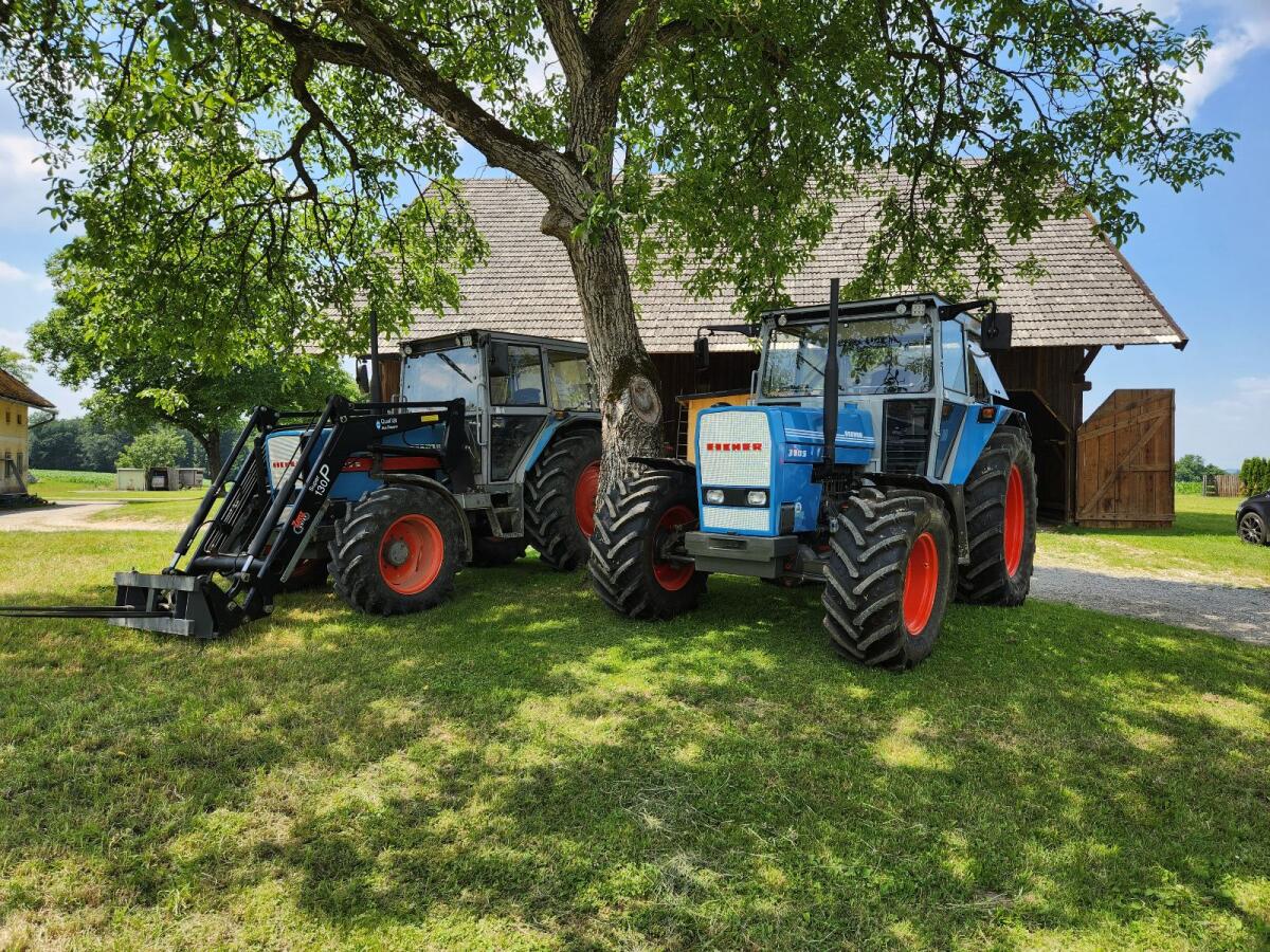 Eicher gesucht 2