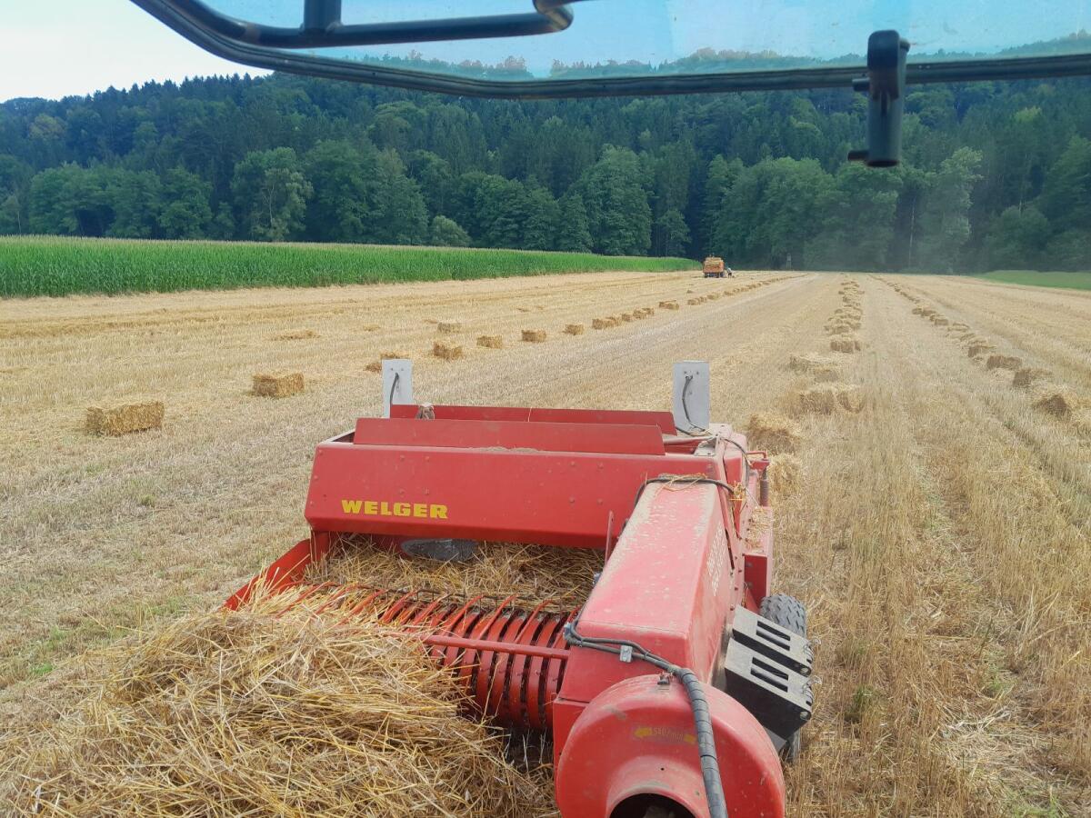 Stroh, Heu Kleinballen 2