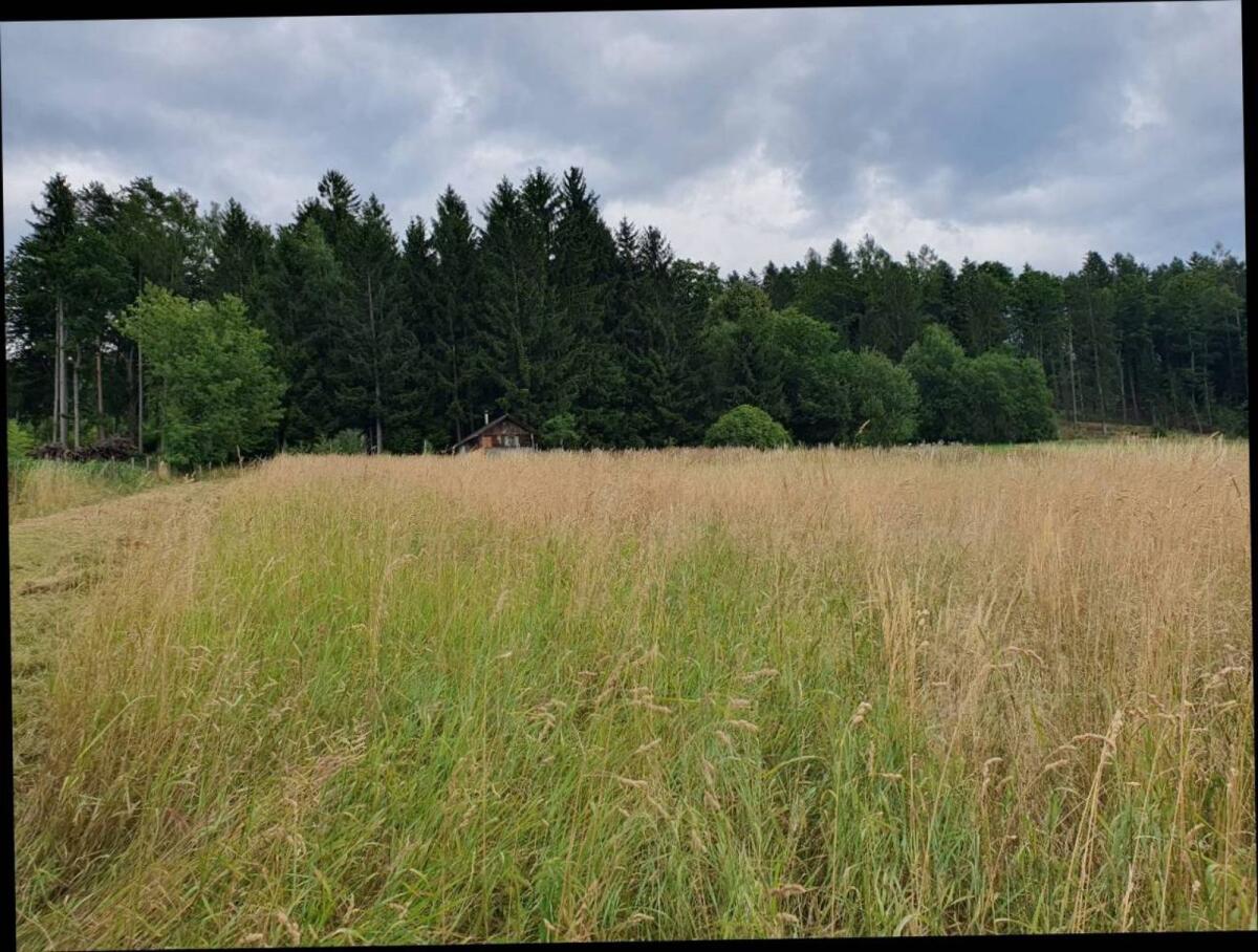 Pferdeheu Kleinballen 1