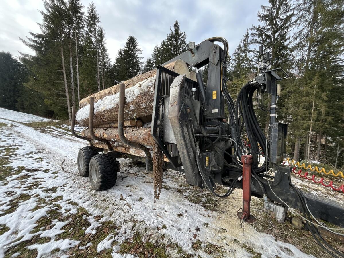 Palms Holzanhänger 675 1