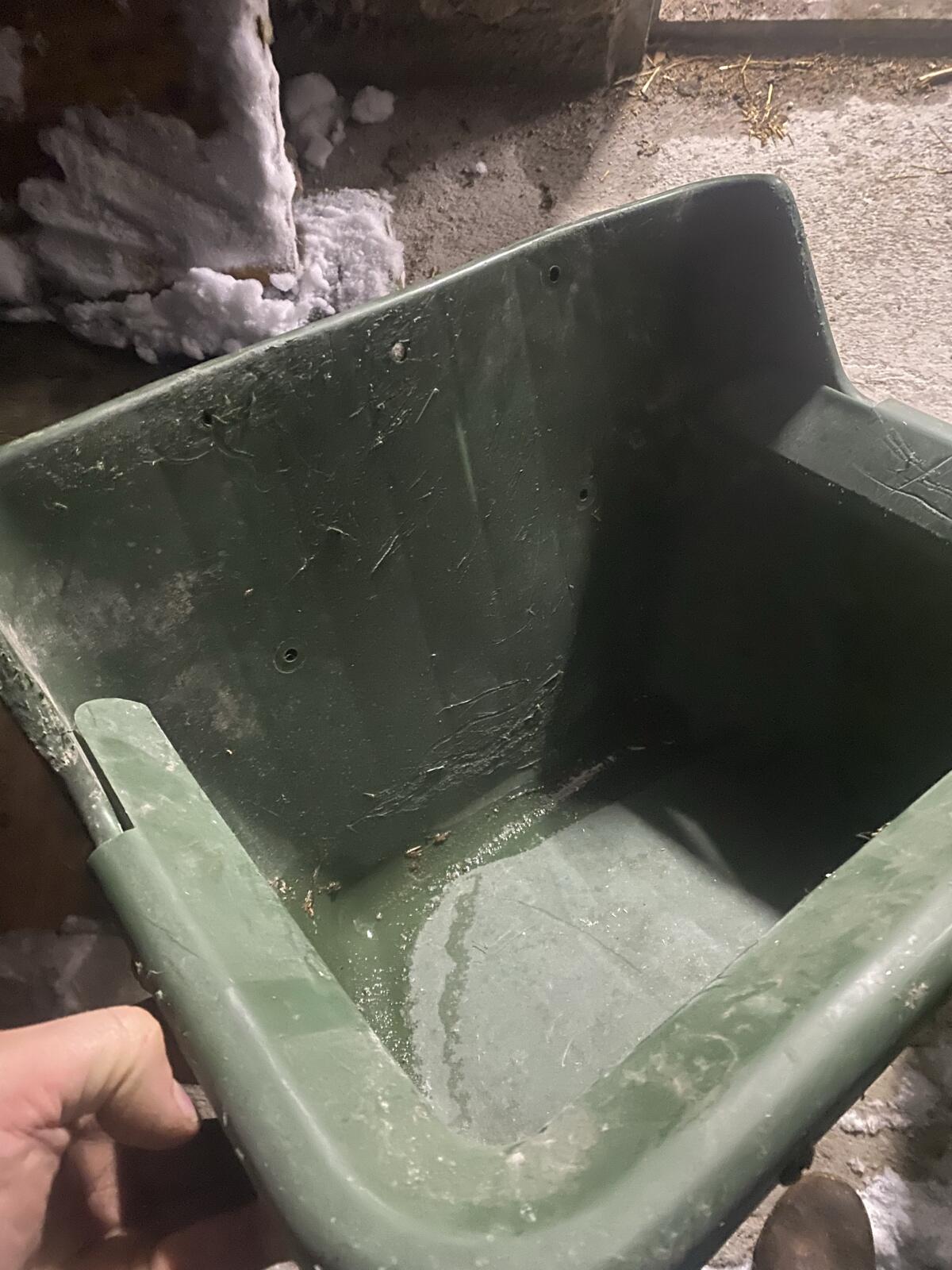 Rinderfutterschalen 1