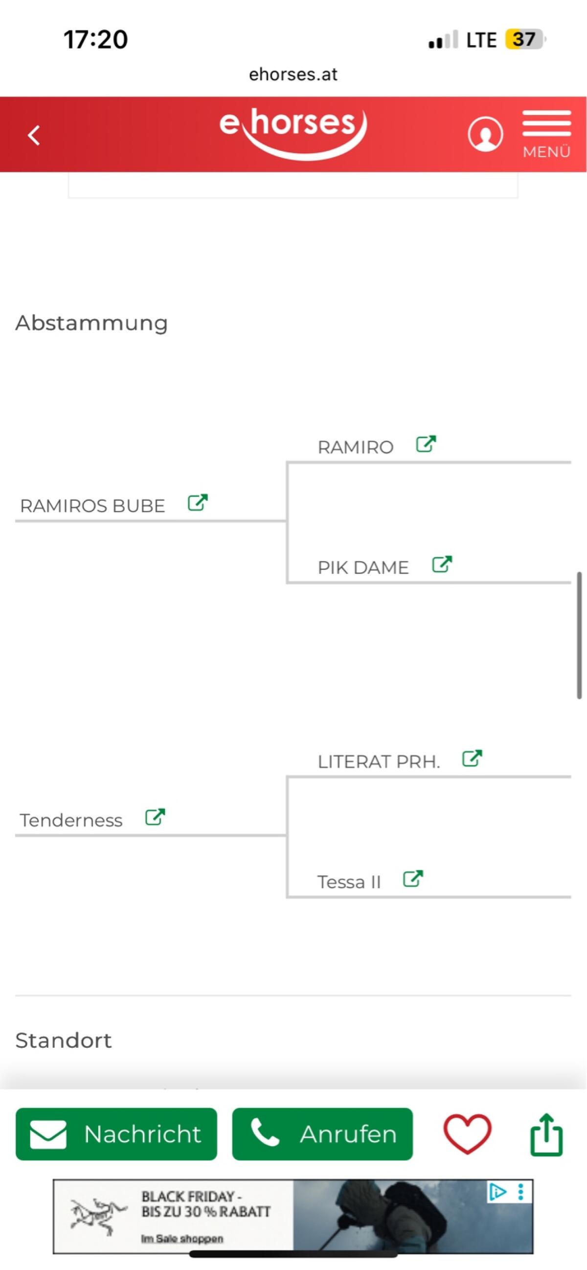 15-jährige Zuchtstute sucht neuen Platz 3
