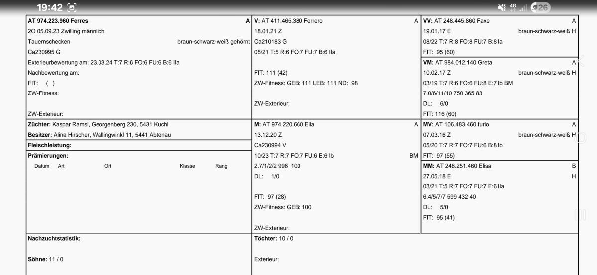 Verkaufe HB Tauernschecken Bock 1