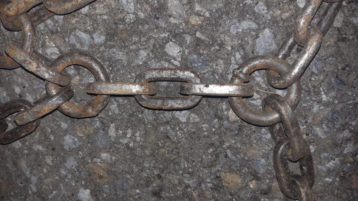 Schneeketten Pewag 520/70R34 3