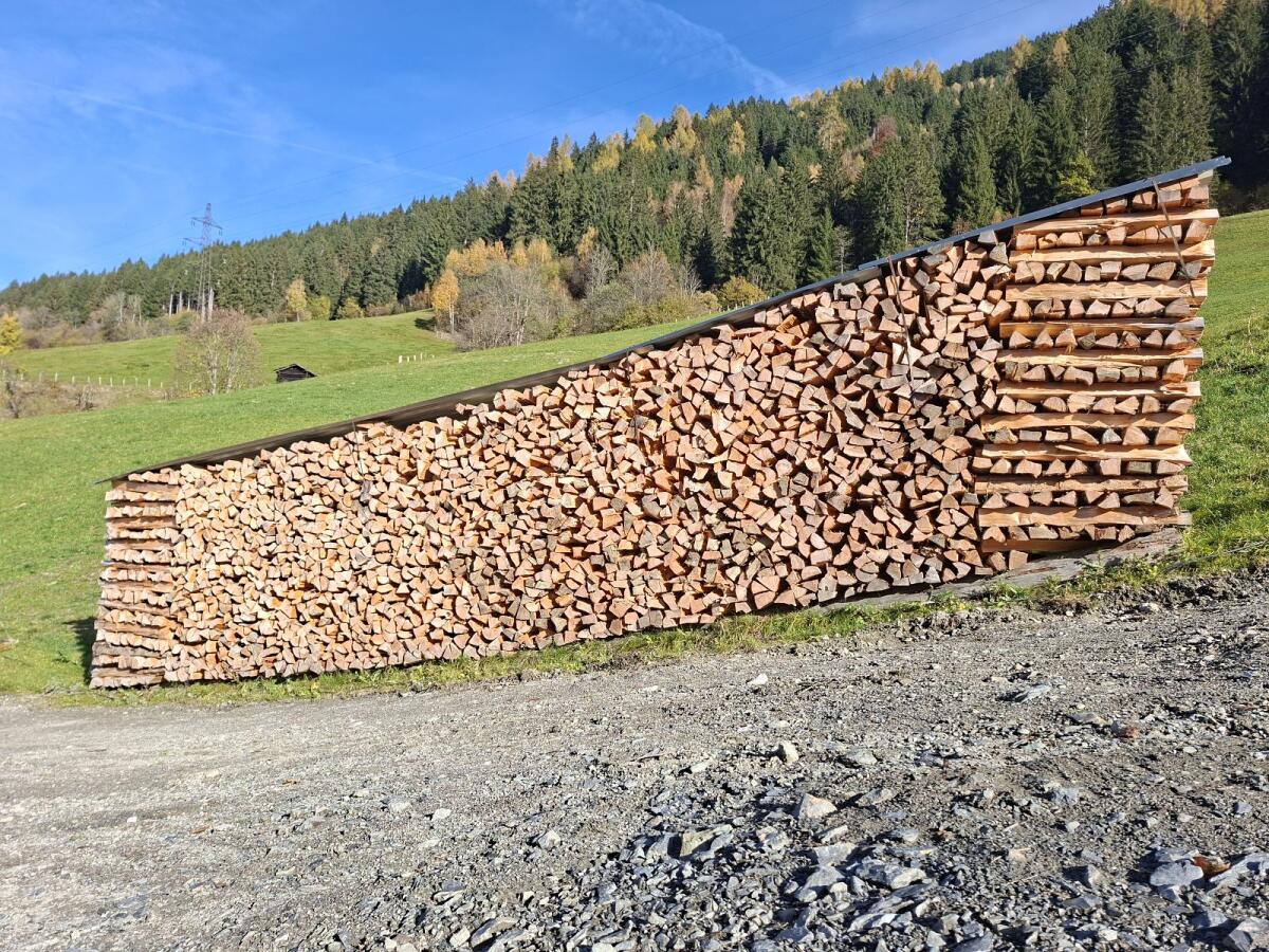 Trockenes Fichtenbrennholz 1