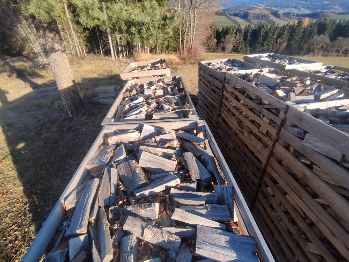 Buchen und Birken Brennholz 2