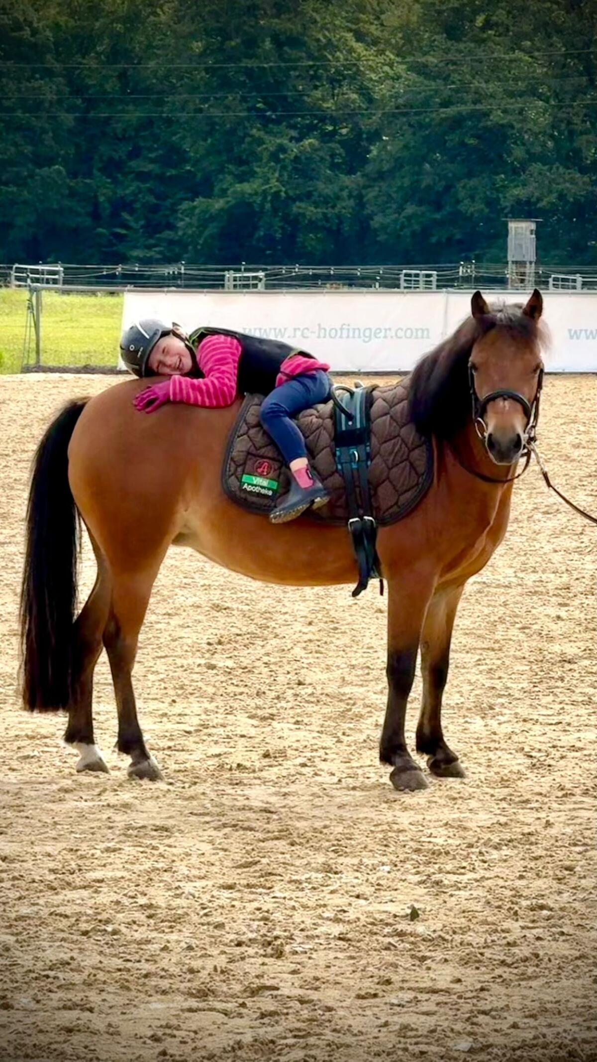 Kinderpony, Welsh Pony, Stute, 10 Jahre 1