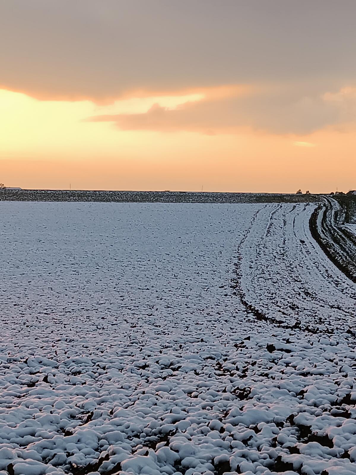 Landwirtschaftlicher Nutzgrund 2
