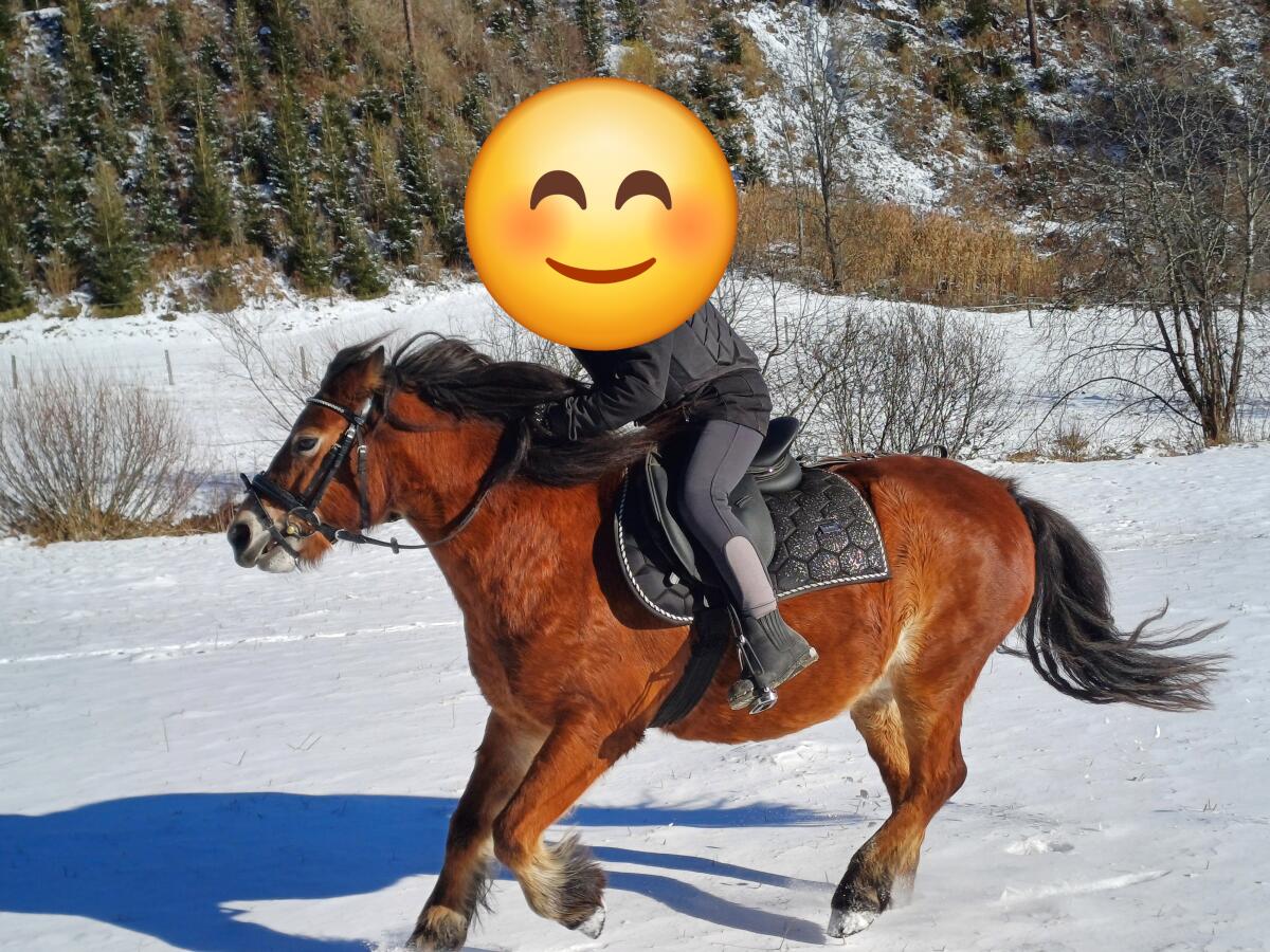 Herzenspony sucht neue Herausforderung 3