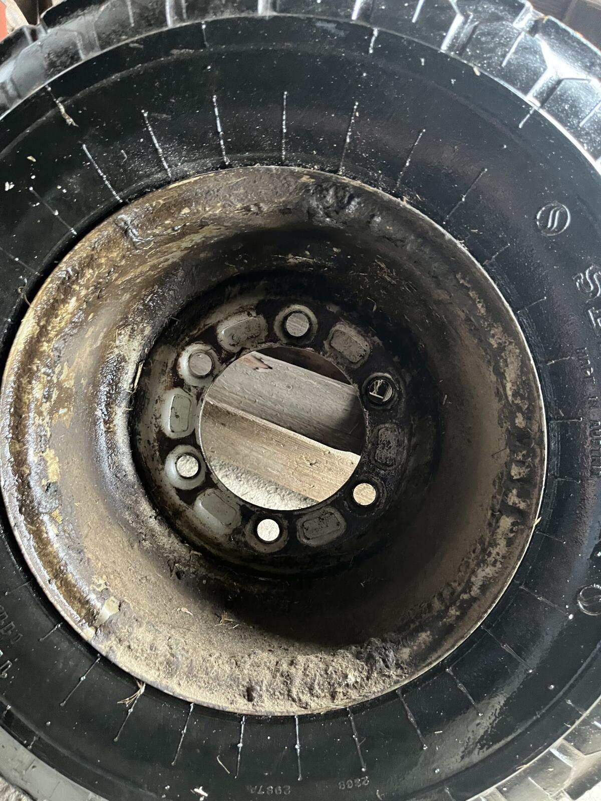 Semperit Reifen (11.5/80-15) mit Felge 1