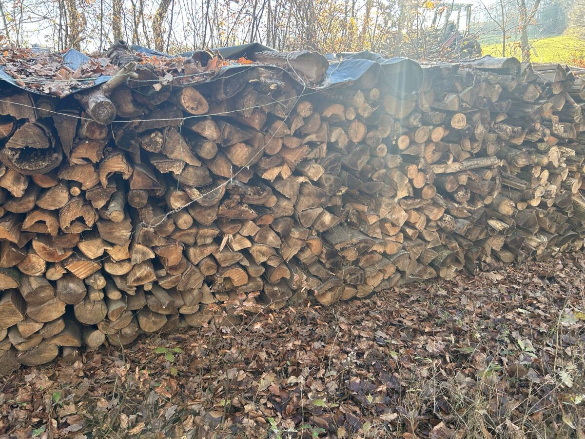 Brennholz - trocken 3