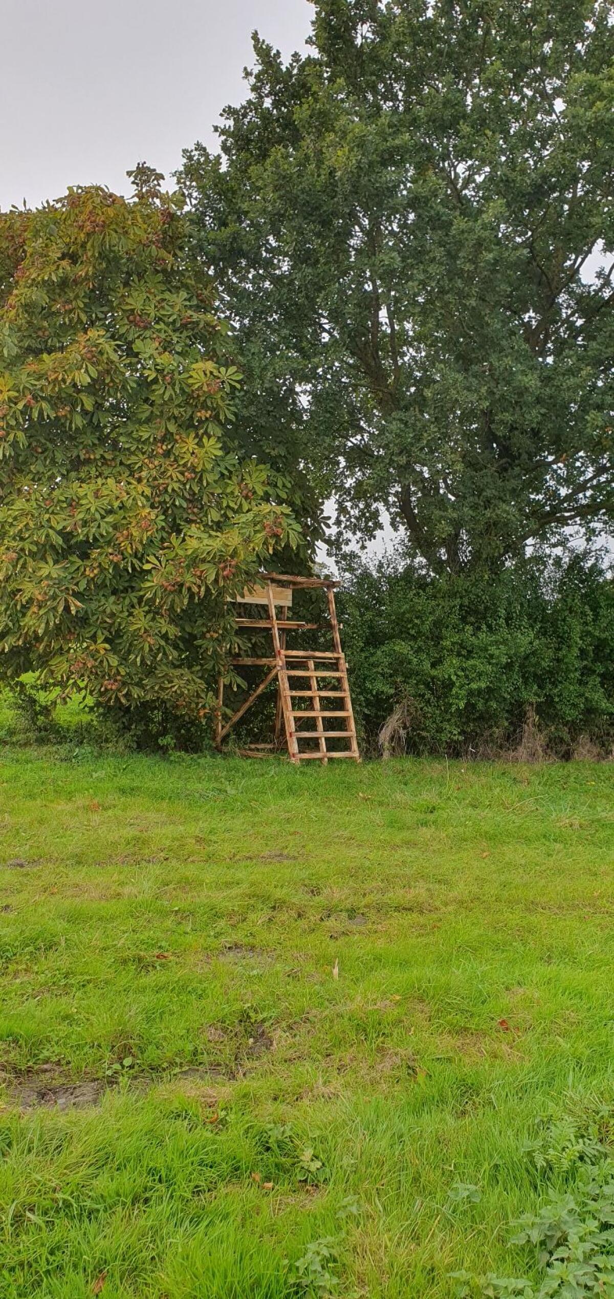 Jagd, Hochsitz, Drückjagdbock, Ansitzleiter 2