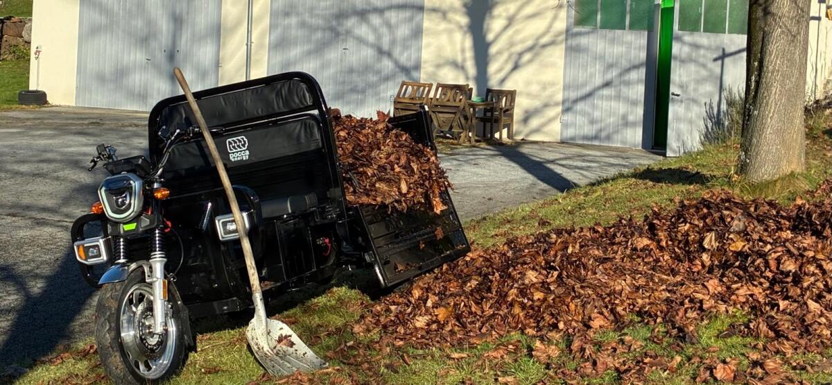 Pocca Tuk Tuk 45 km/h + Hydraulischer Kipper Campo PTT45 2