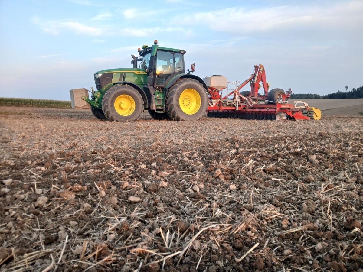 Praxis / Praktikumsplatz (m/w/d) Juli – Oktober 2026 1