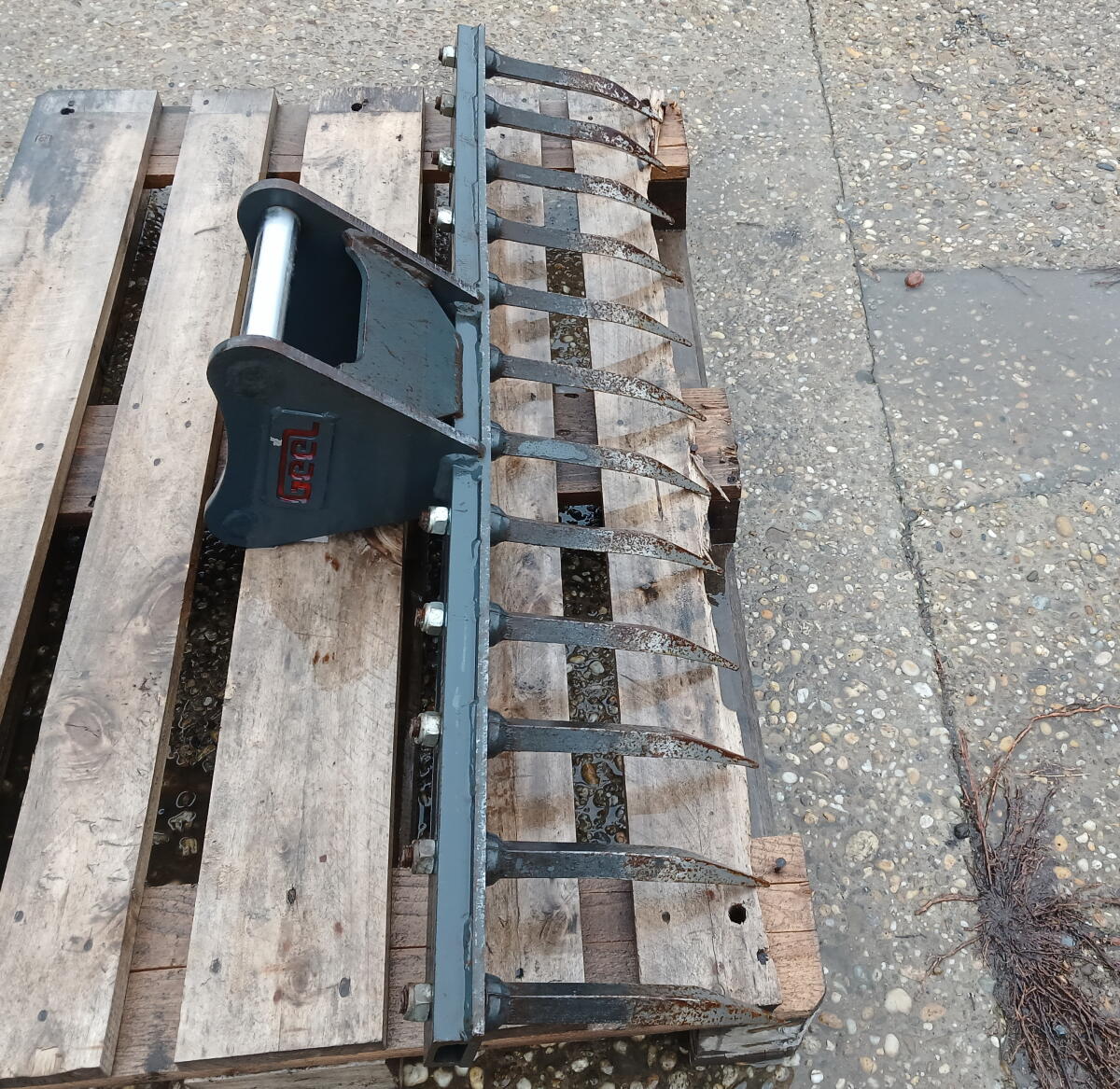 Roderechen Geel, Garten SW010 3