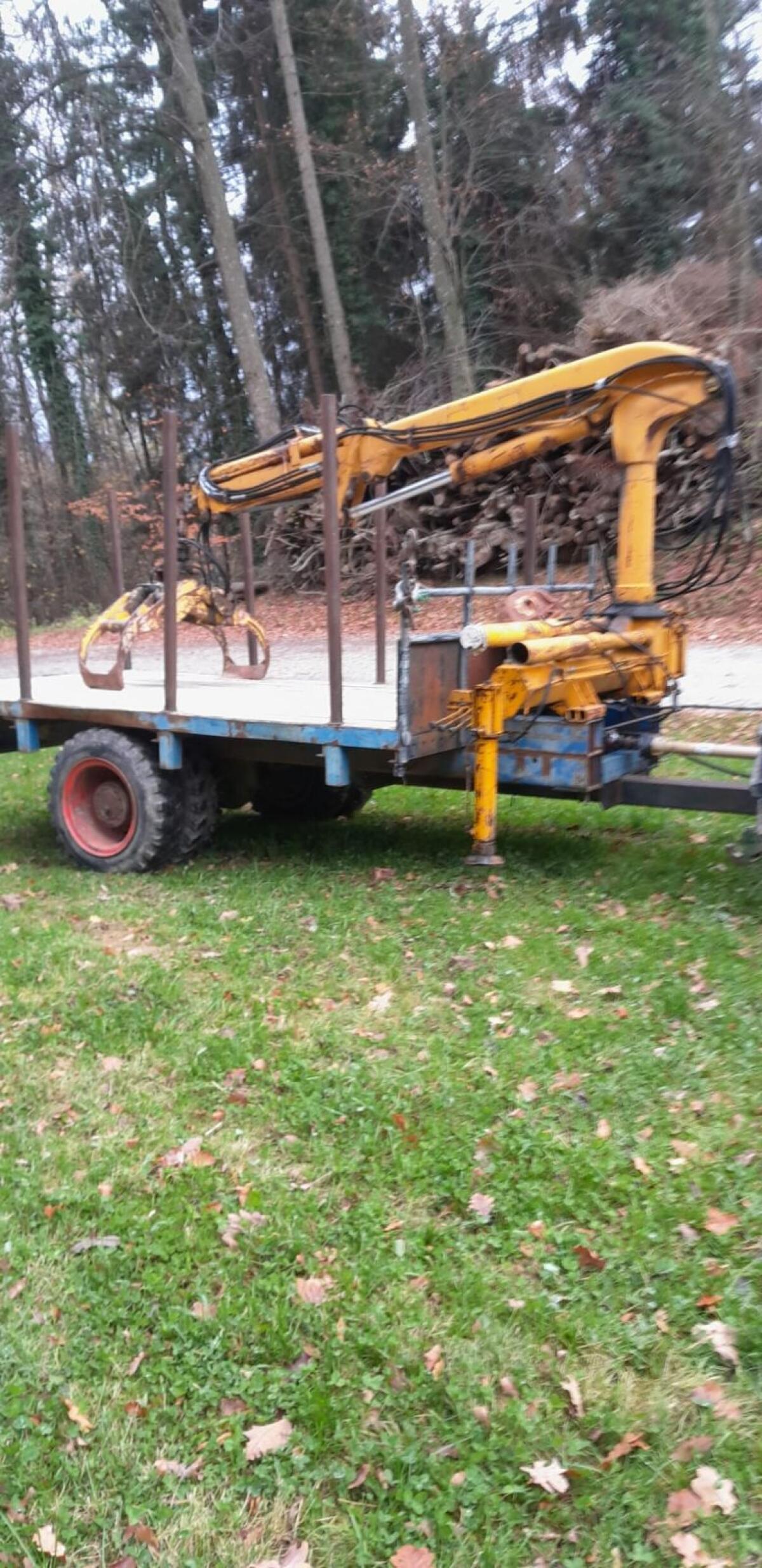 Kranwagen, Rückewagen, Holzwagen 1