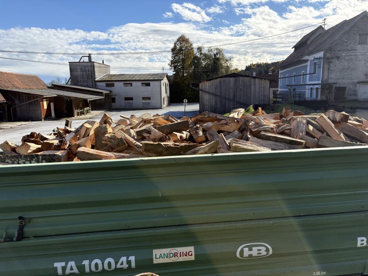 Brennholz zu verkaufen 2