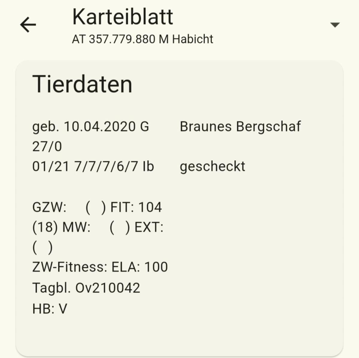 HB Kugelscheckenwidder 2