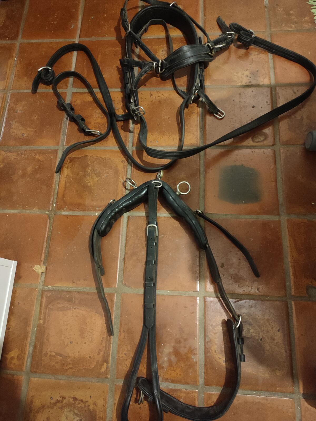 Shetlandpony Brustgeschirr ohne Kopfstücke und Leinen 2