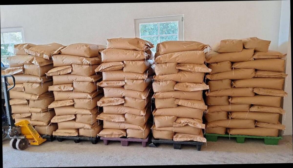 Schwarzhafer abgesackt 2