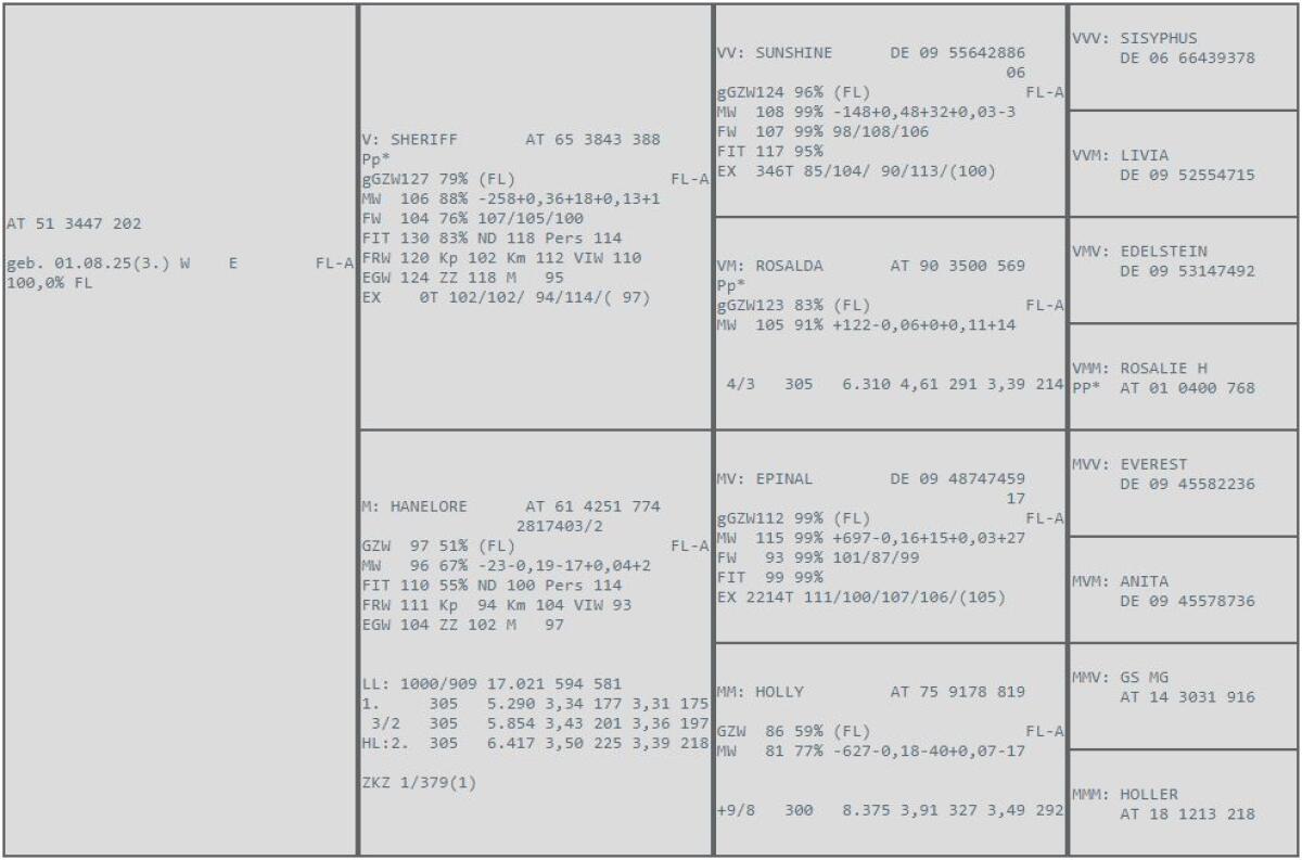 BIO hornlose Fleckvieh Kuhkälber 1