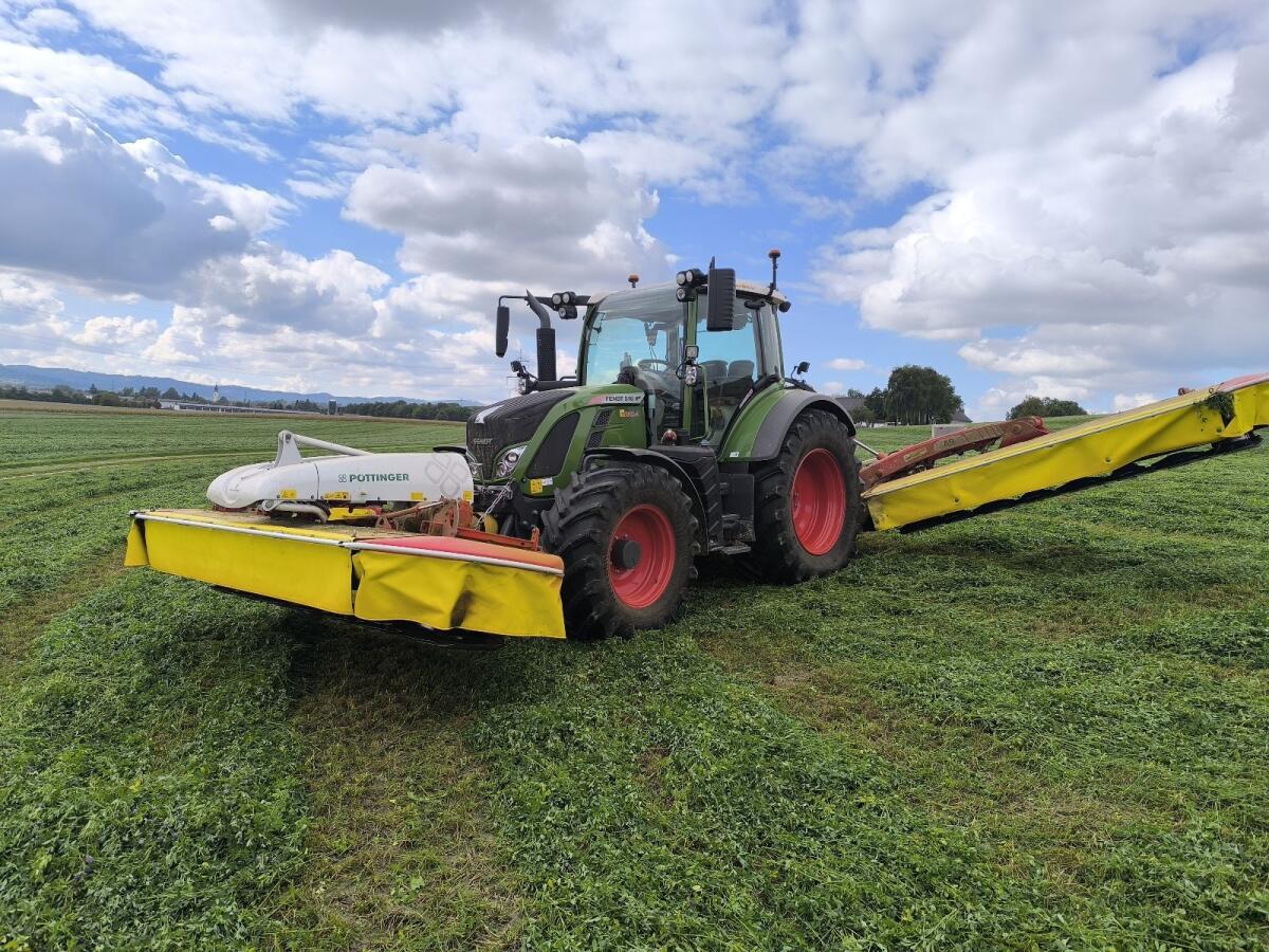 Klee Luzerne Silage Bio 2